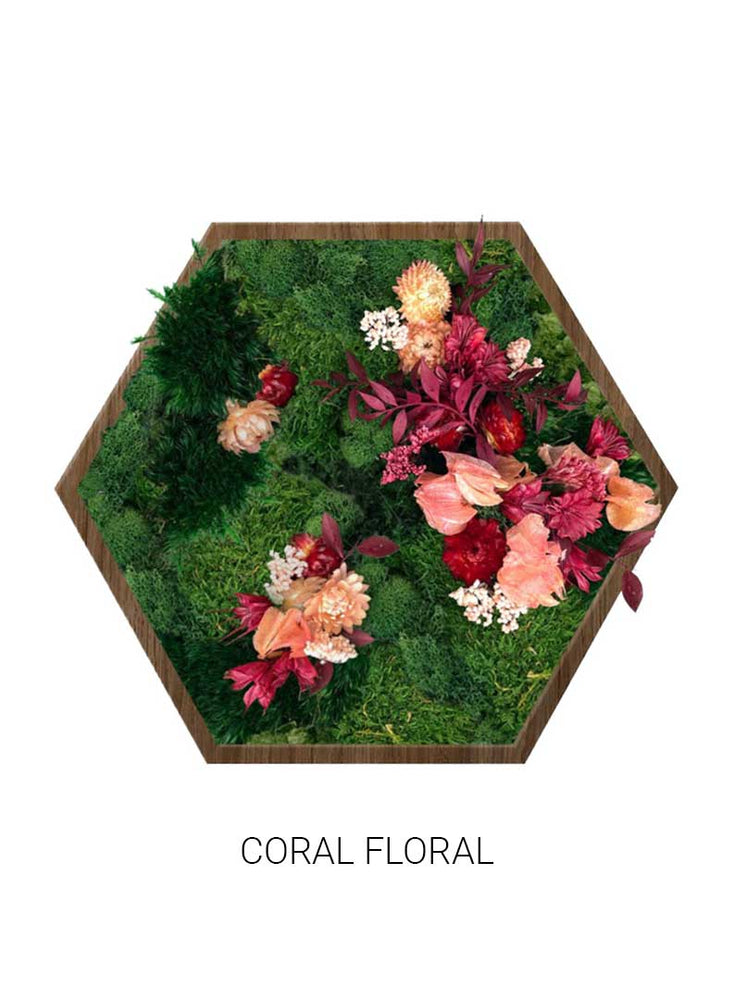 
                  
                    Coral Floral | Hexagon Moss Art
                  
                