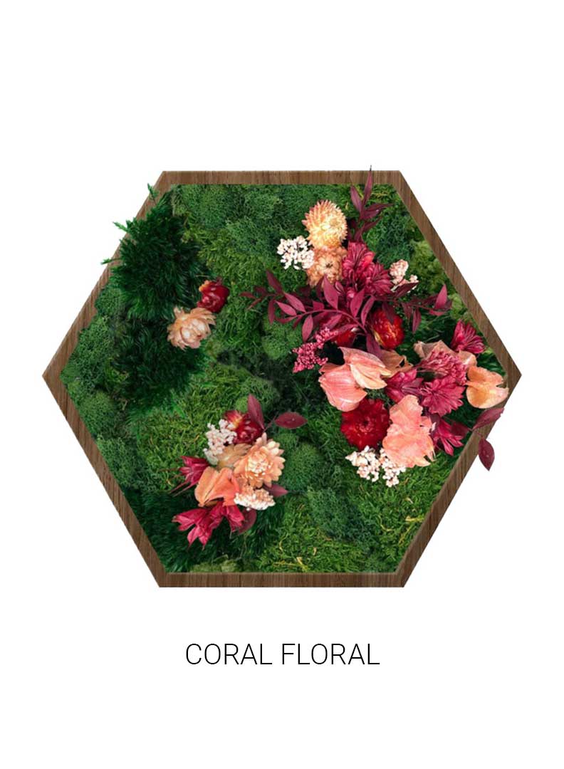 Coral Floral | Hexagon Moss Art
