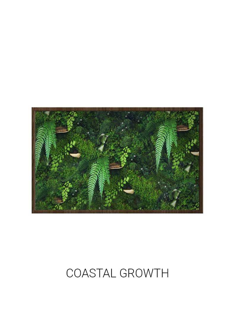 Coastal Growth | Landscape Moss Art