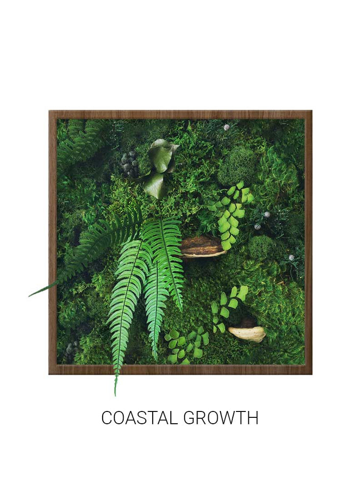 
                  
                    Coastal Growth | Square Moss Art
                  
                