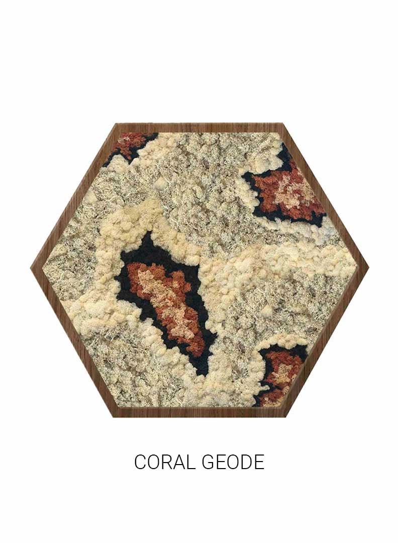 
                  
                    Coral Geode | Hexagon Moss Art
                  
                