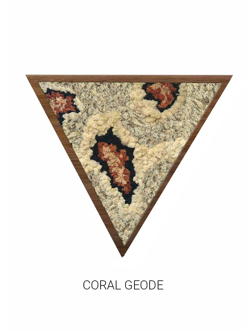 
                  
                    Coral Geode | Triangle Moss Art
                  
                