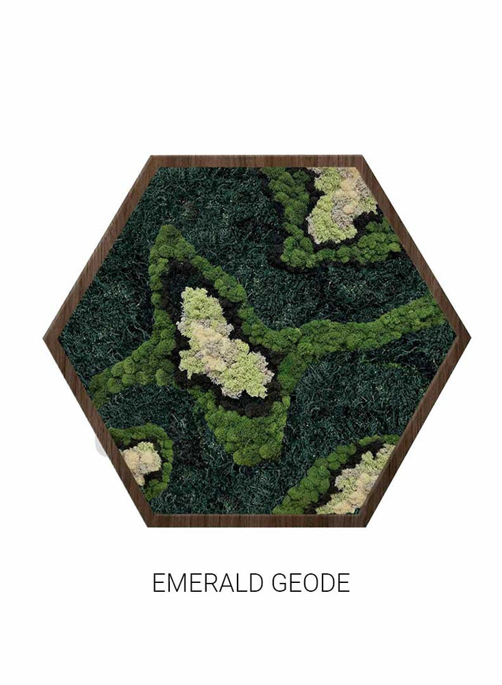 
                  
                    Emerald Geode | Hexagon Moss Art
                  
                