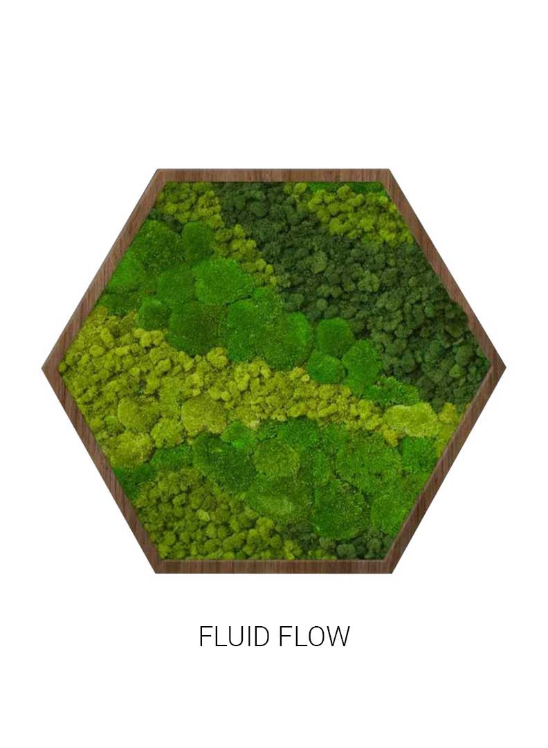 Fluid Flow | Hexagon Moss Art