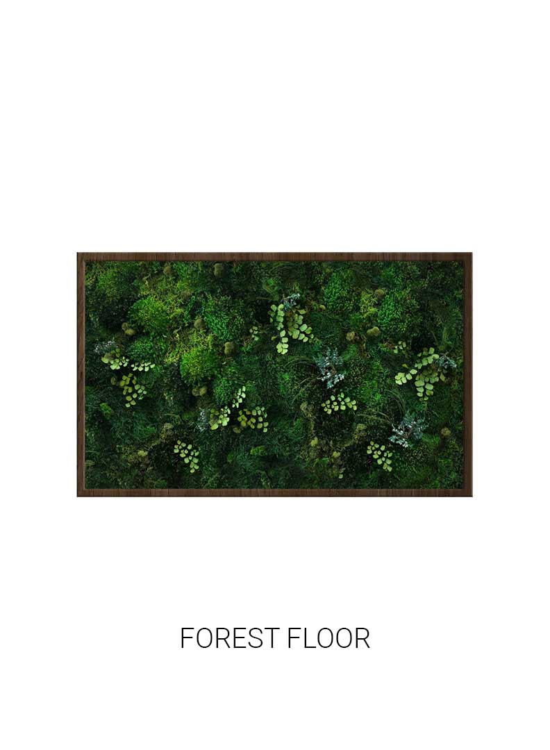 Forest Floor | Landscape Moss Art