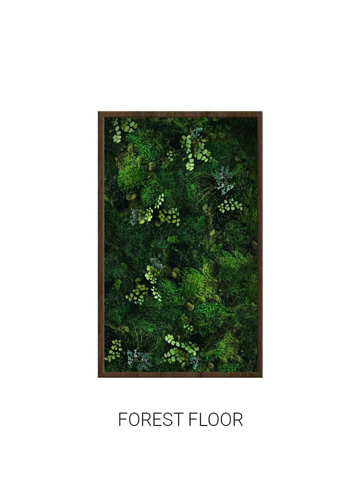 
                  
                    Forest Floor | Portrait Moss Art
                  
                