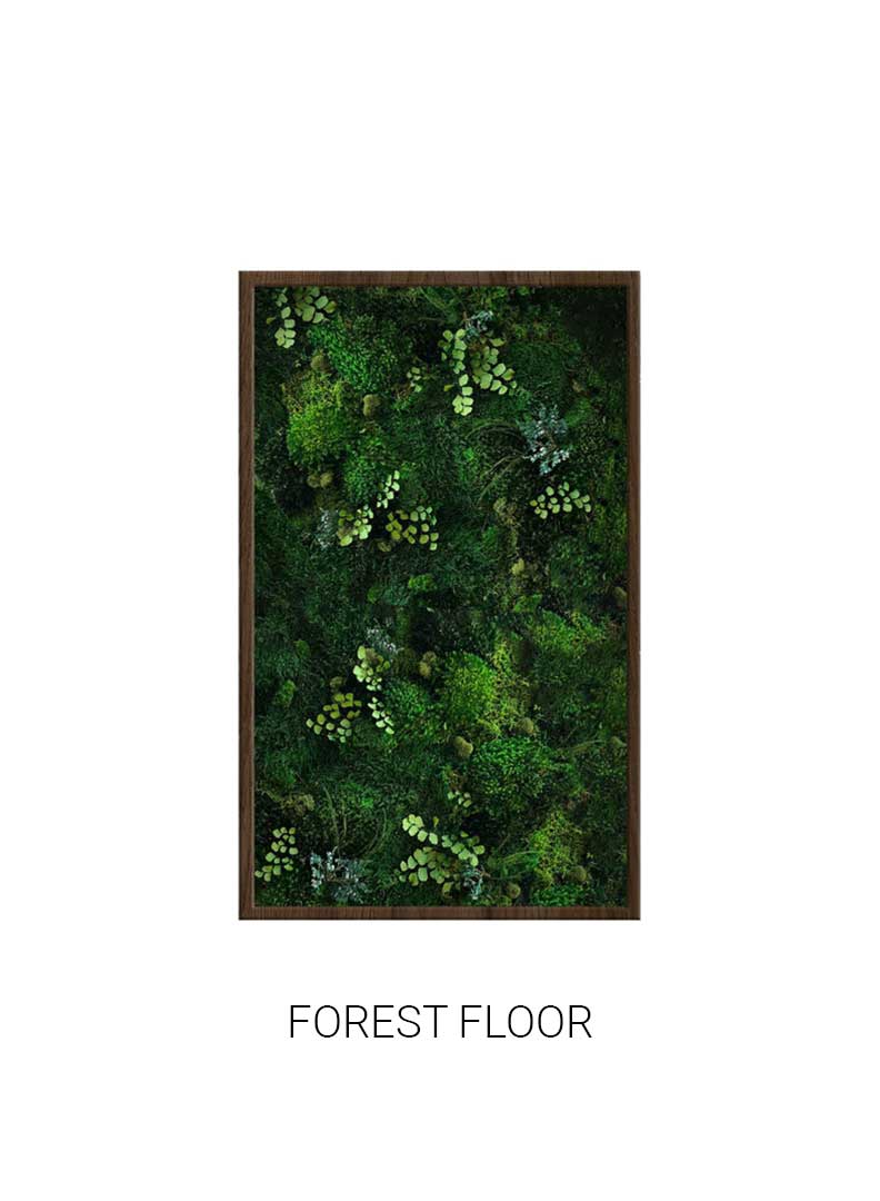 Forest Floor | Portrait Moss Art