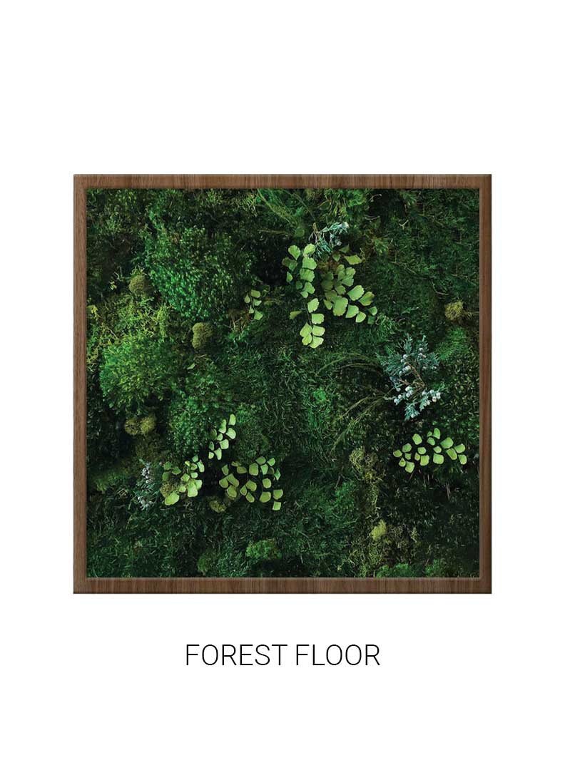 
                  
                    Forest Floor | Square Moss Art
                  
                