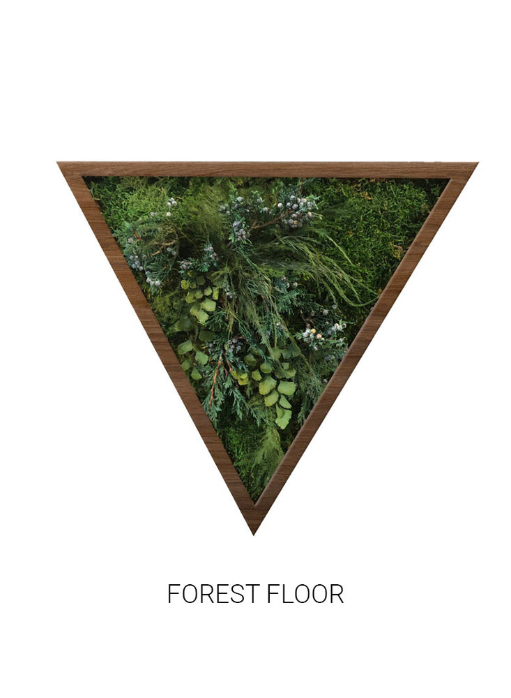 
                  
                    Forest Floor | Triangle Moss Art
                  
                