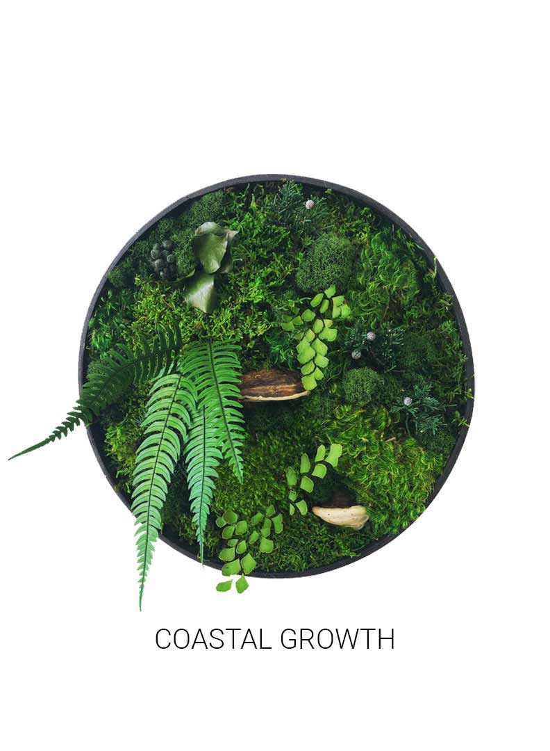 
                  
                    Coastal Growth | Circle Moss Art
                  
                