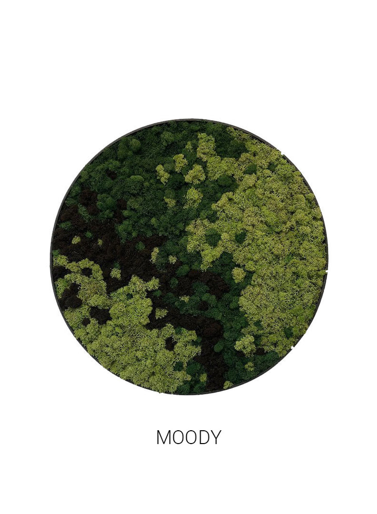 
                  
                    Moody | Circle Moss Art
                  
                