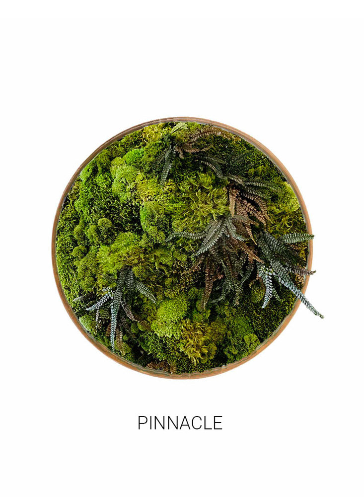 
                  
                    Pinnacle | Circle Moss Art
                  
                