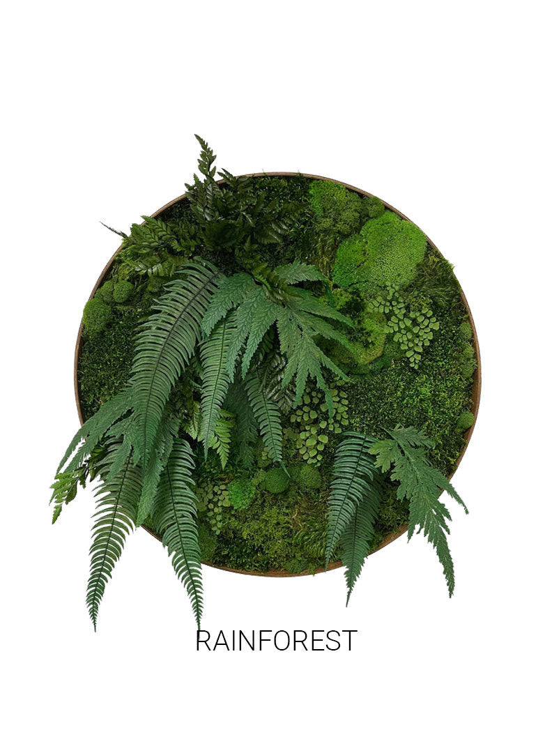 
                  
                    Rainforest | Circle Moss Art
                  
                