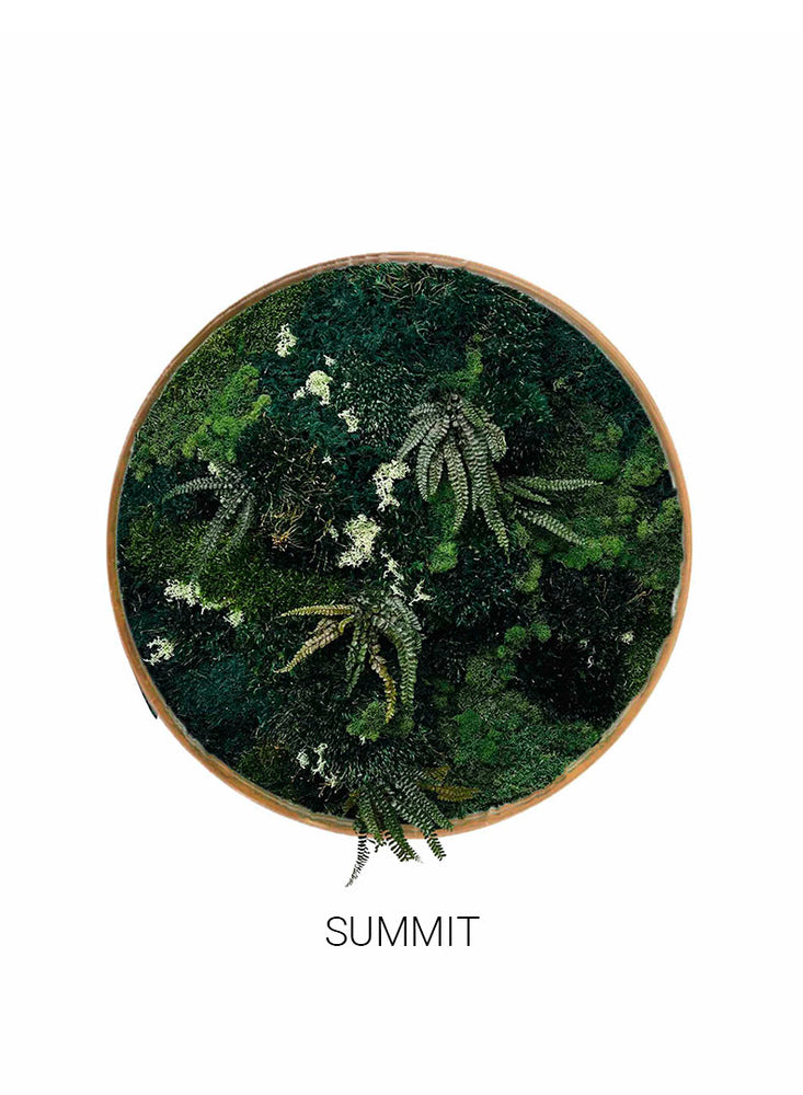 
                  
                    Summit | Circle Moss Art
                  
                