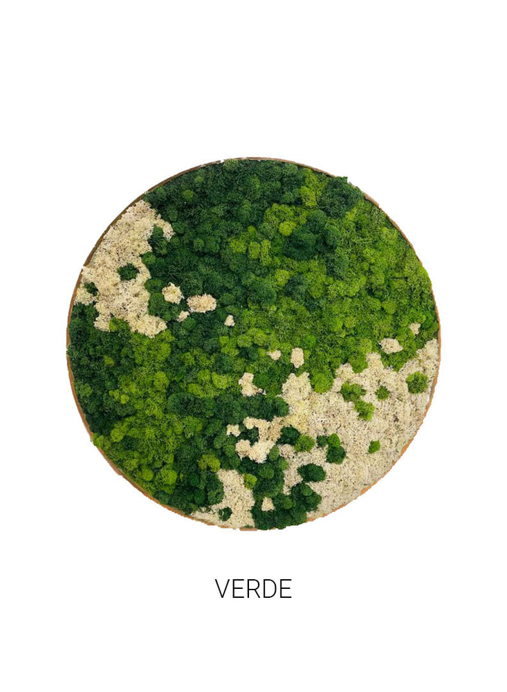 
                  
                    Verde | Circle Moss Art
                  
                