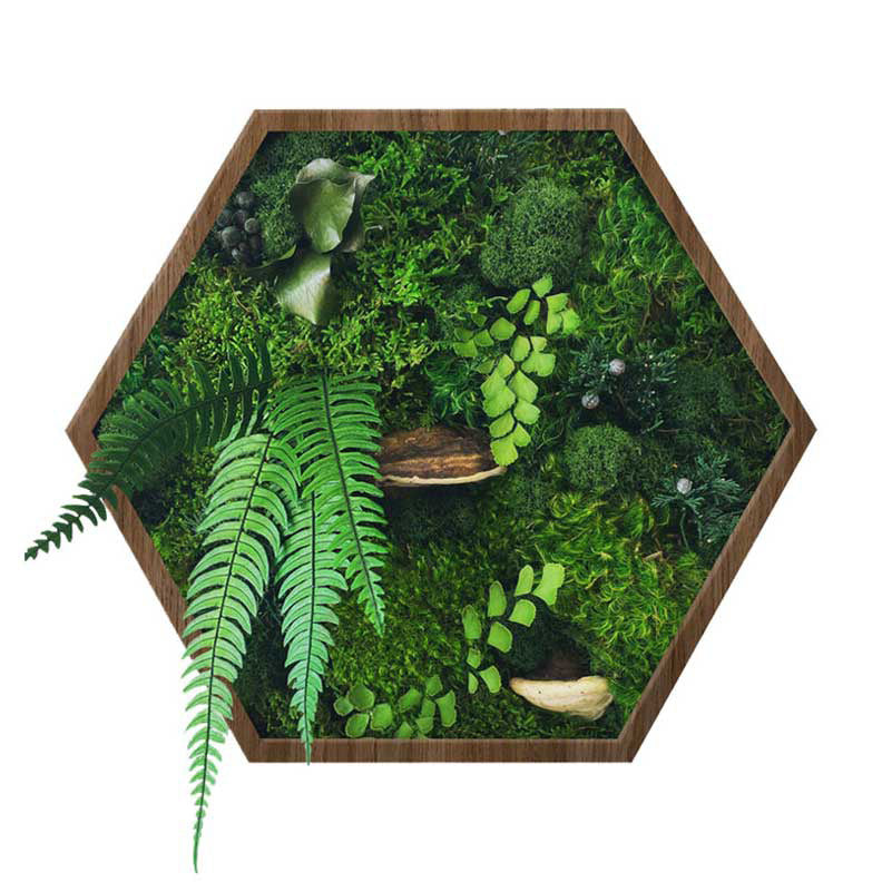 Vancouver Made Hexagon Moss Art