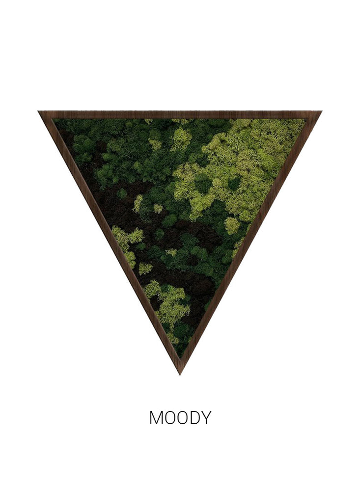 
                  
                    Moody | Triangle Moss Art
                  
                