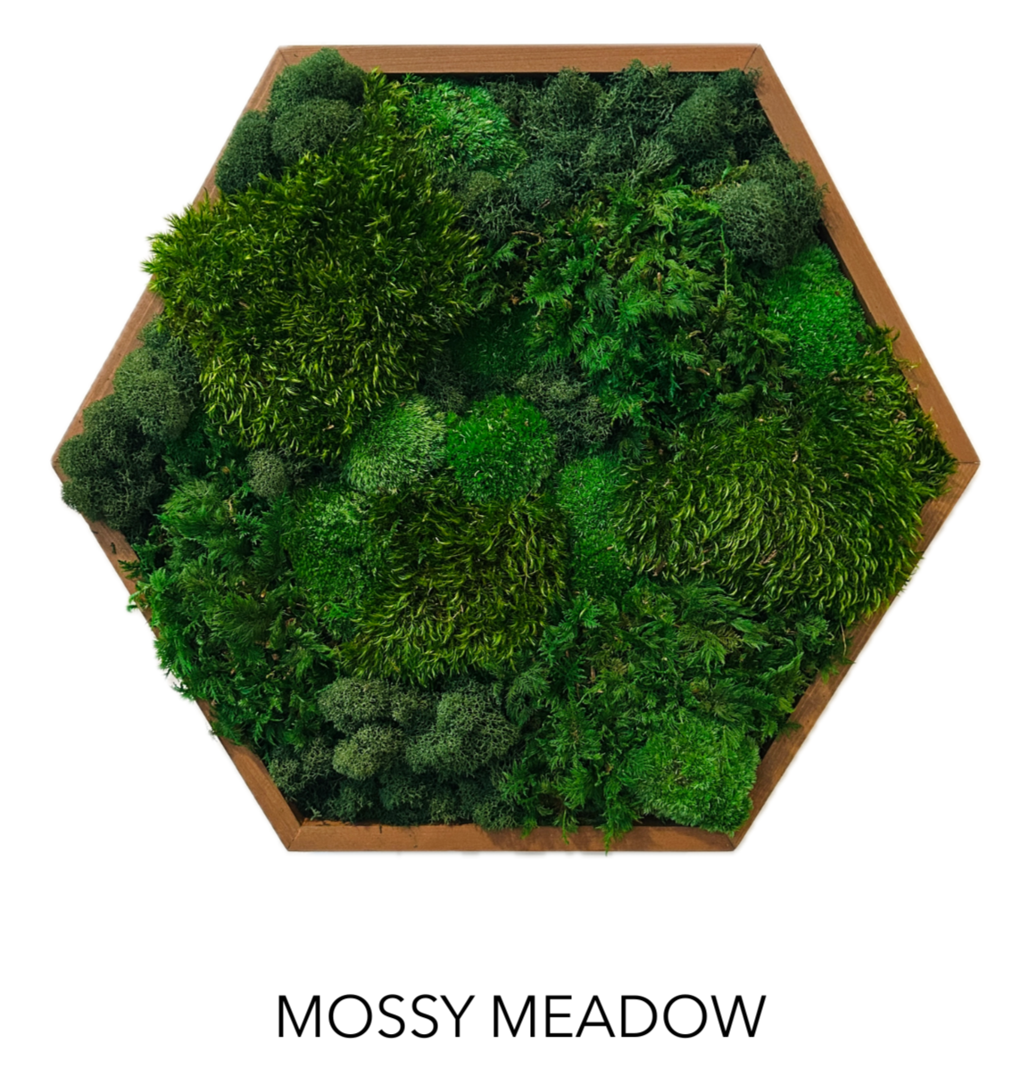 HEXAGON MOSS ART