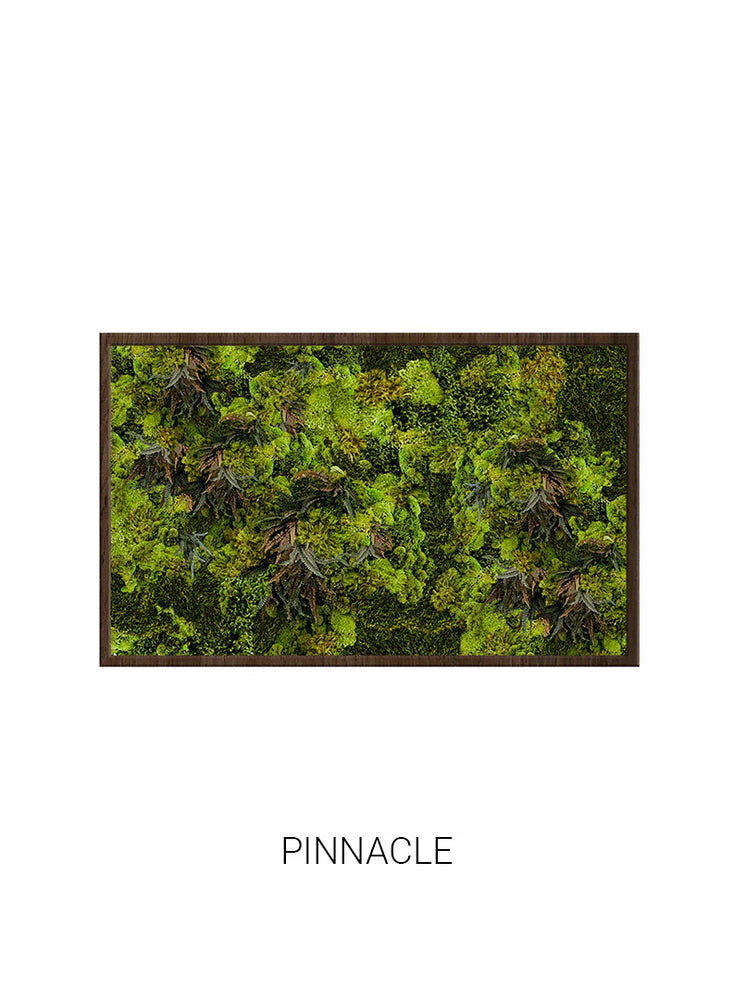 
                  
                    Pinnacle | Landscape Moss Art
                  
                