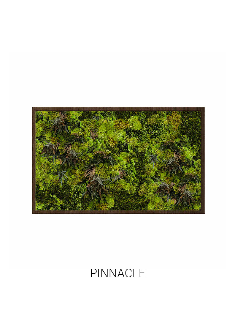 Pinnacle | Landscape Moss Art