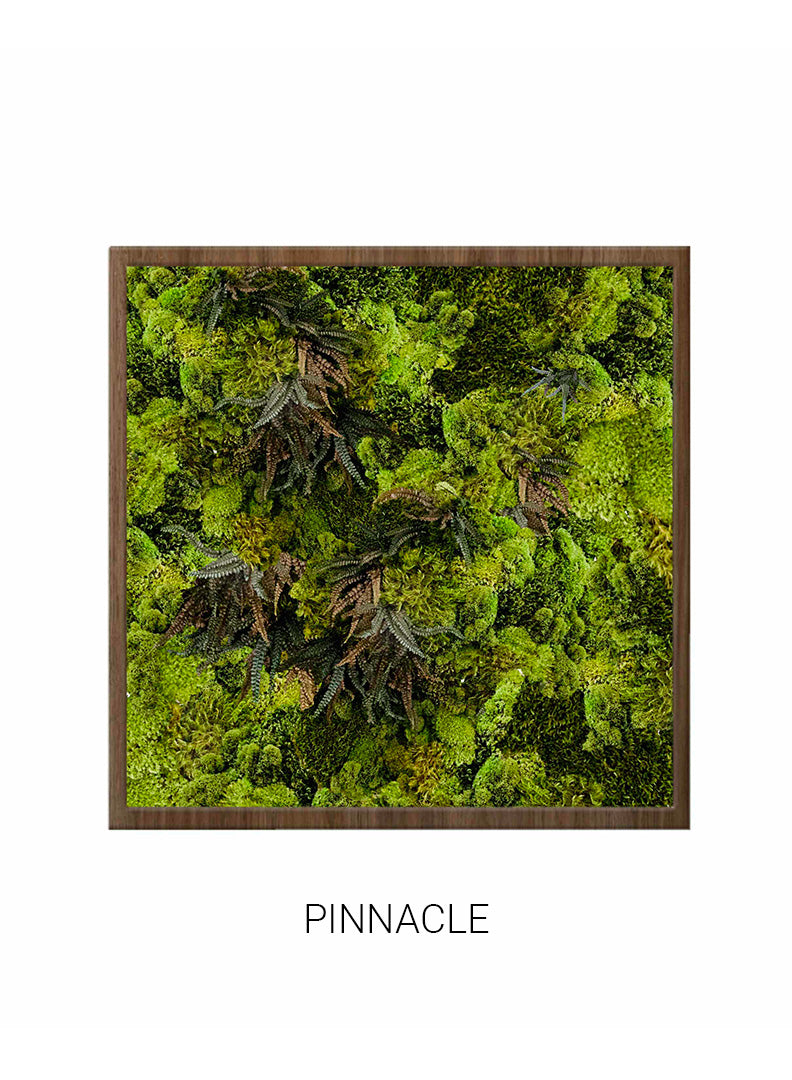 
                  
                    Pinnacle | Square Moss Art
                  
                