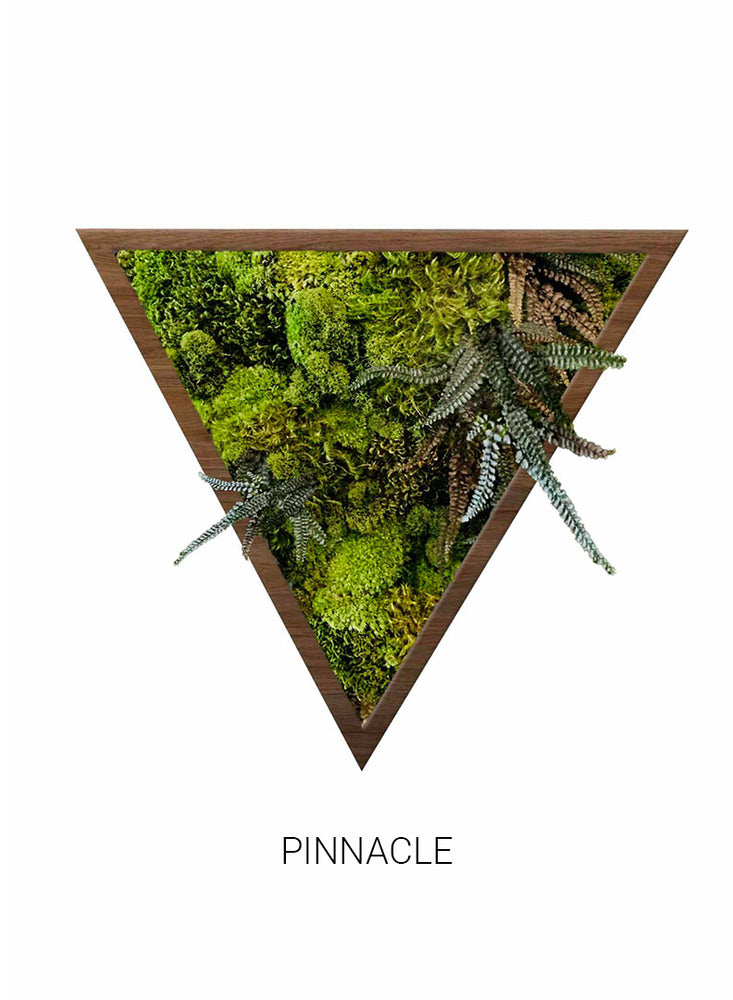 
                  
                    Pinnacle | Triangle Moss Art
                  
                