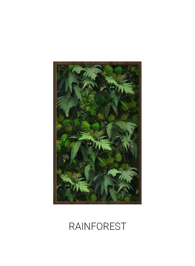 Rainforest | Portrait Moss Art