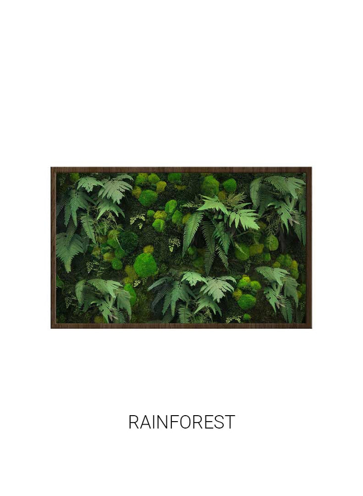
                  
                    Rainforest | Landscape Moss Art
                  
                