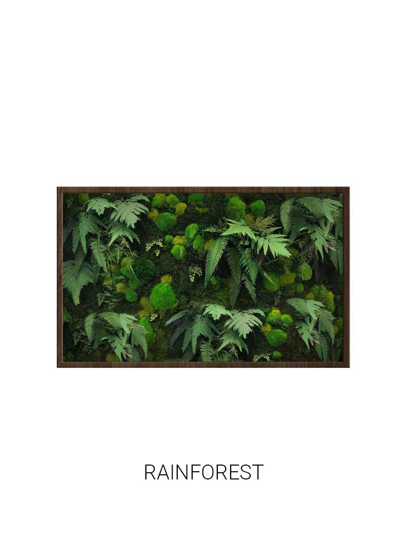 Rainforest | Landscape Moss Art