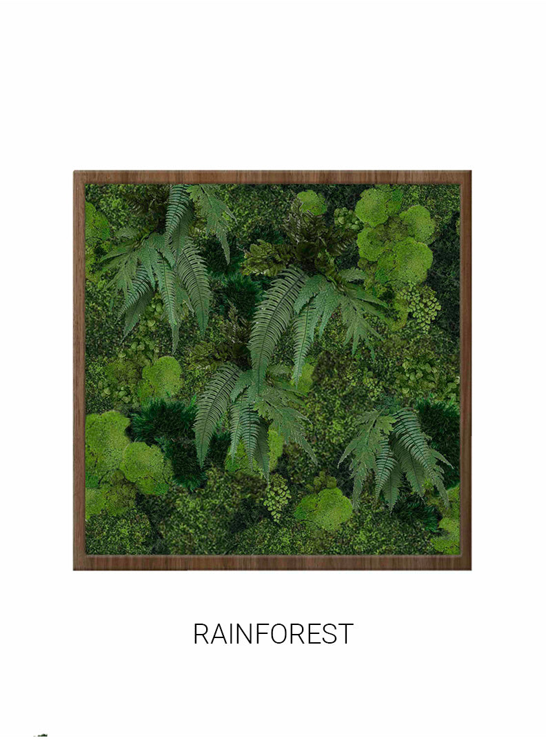 
                  
                    Rainforest | Square Moss Art
                  
                