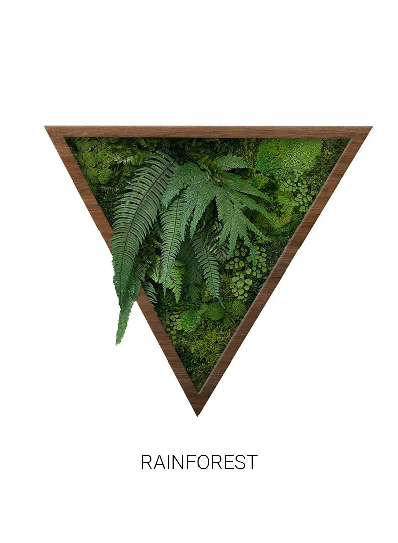 
                  
                    Rainforest | Triangle Moss Art
                  
                