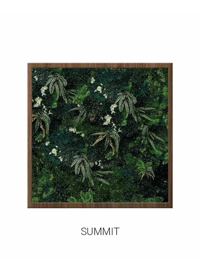 
                  
                    Summit | Square Moss Art
                  
                
