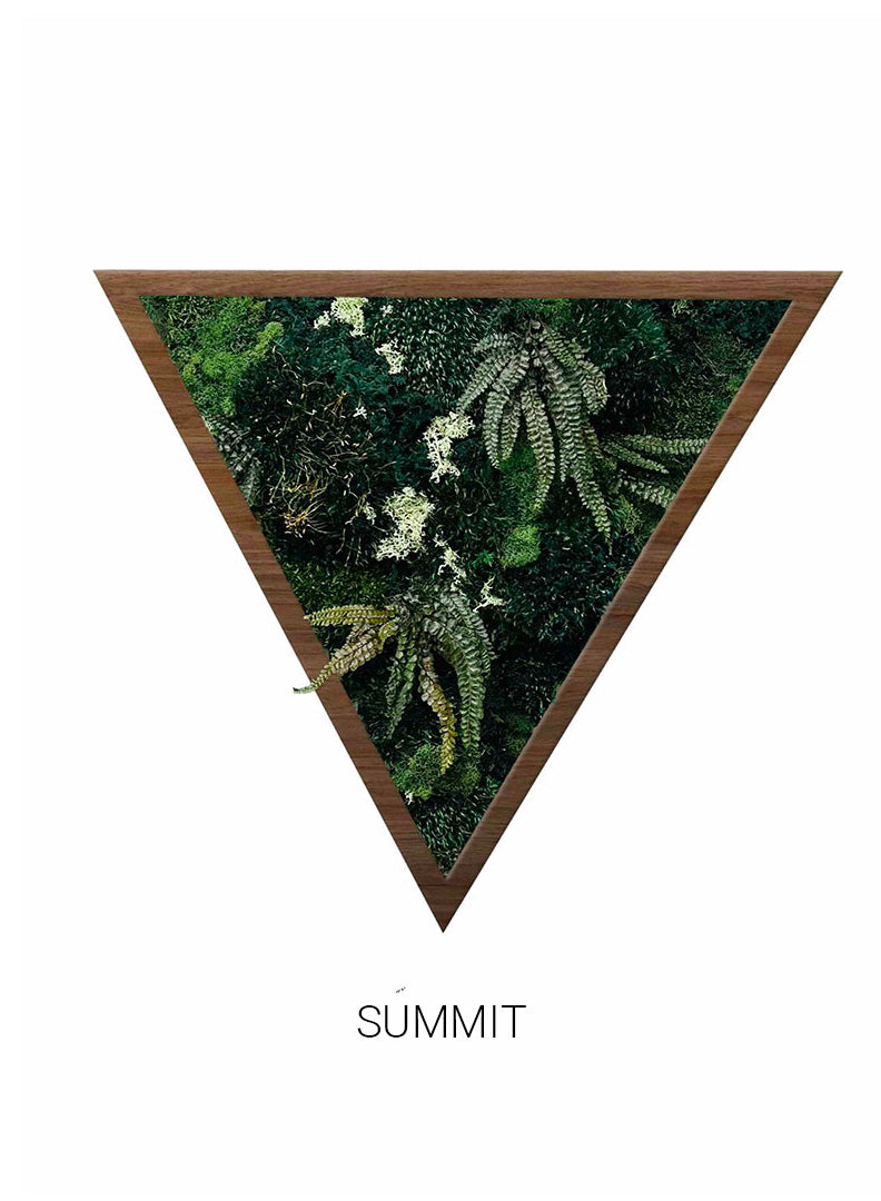 
                  
                    Summit | Triangle Moss Art
                  
                