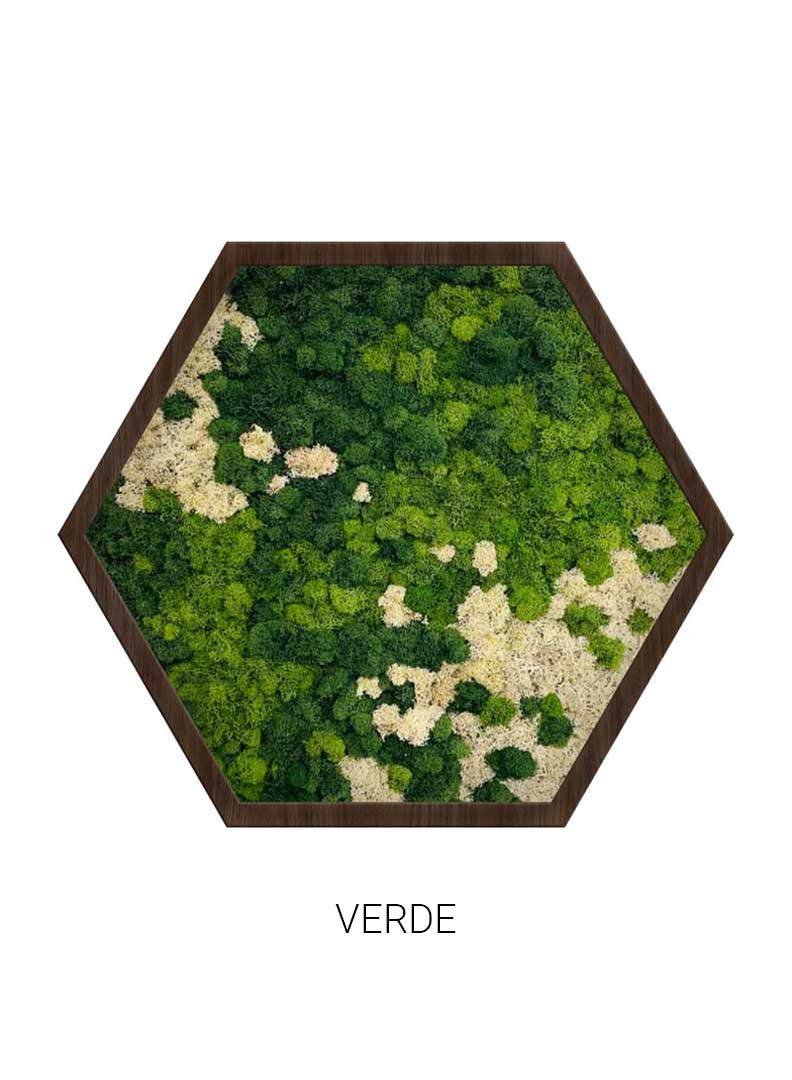 Verde | Hexagon Moss Art