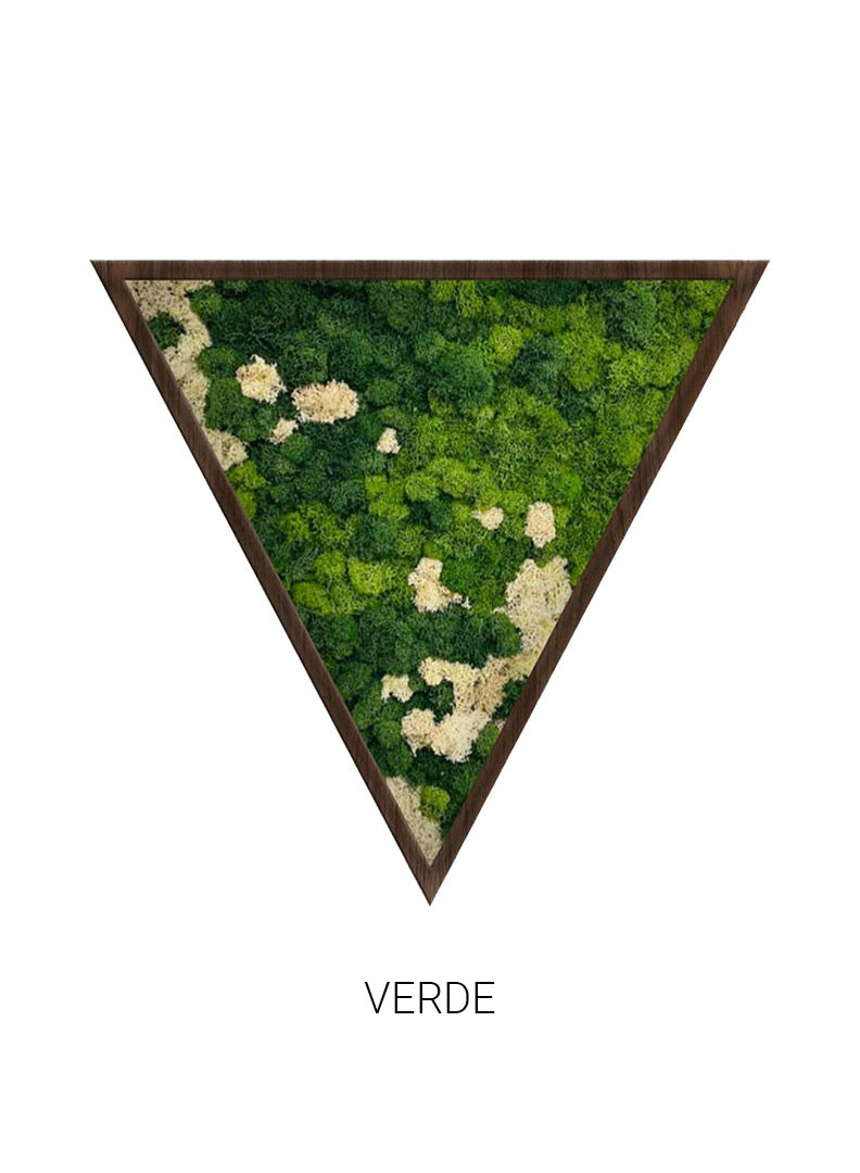 
                  
                    Verde | Triangle Moss Art
                  
                