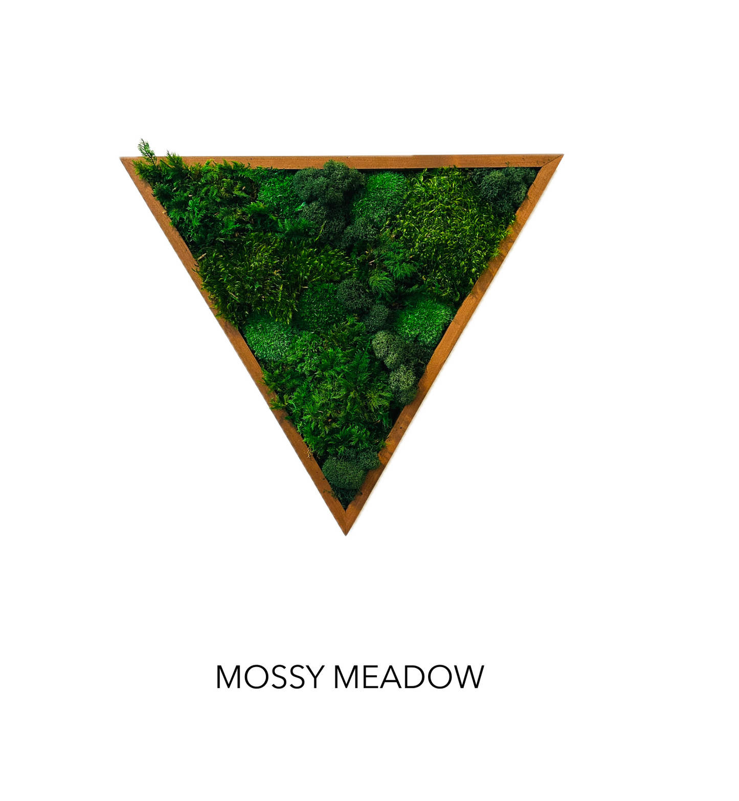 
                  
                    TRIANGLE MOSS ART
                  
                