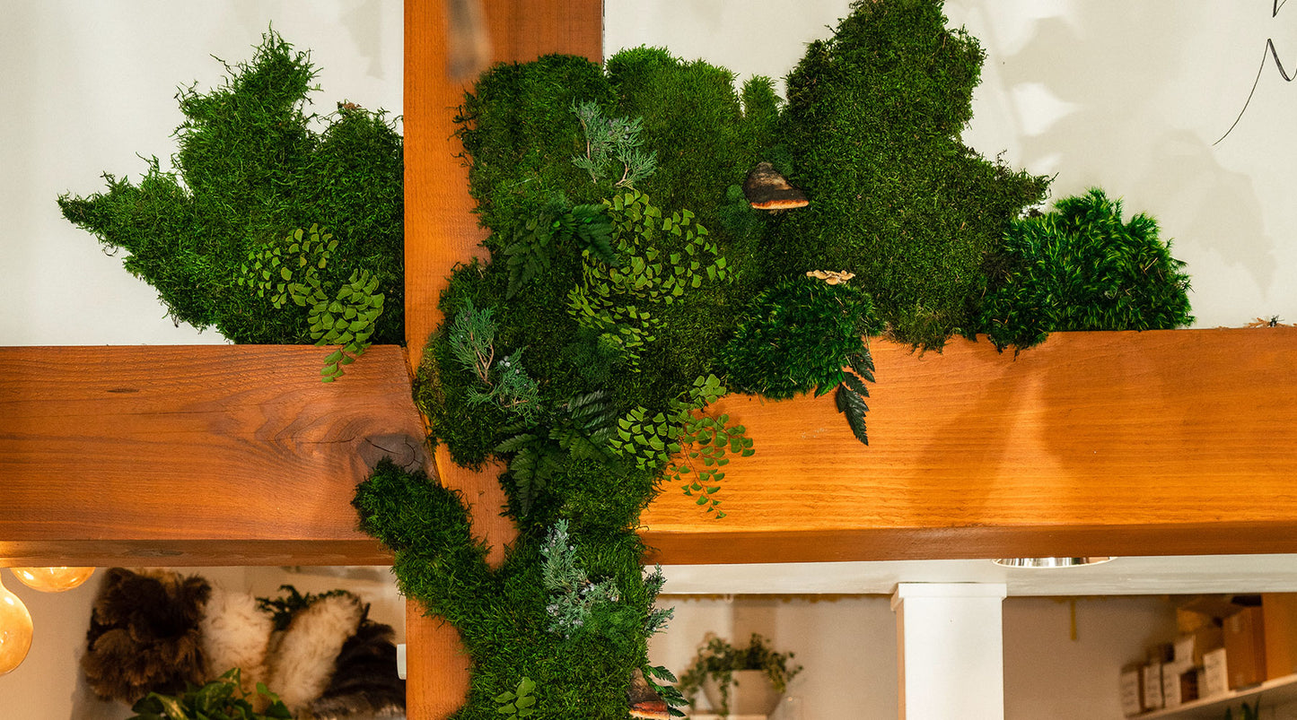 Greenstems | About The Moss Artists 