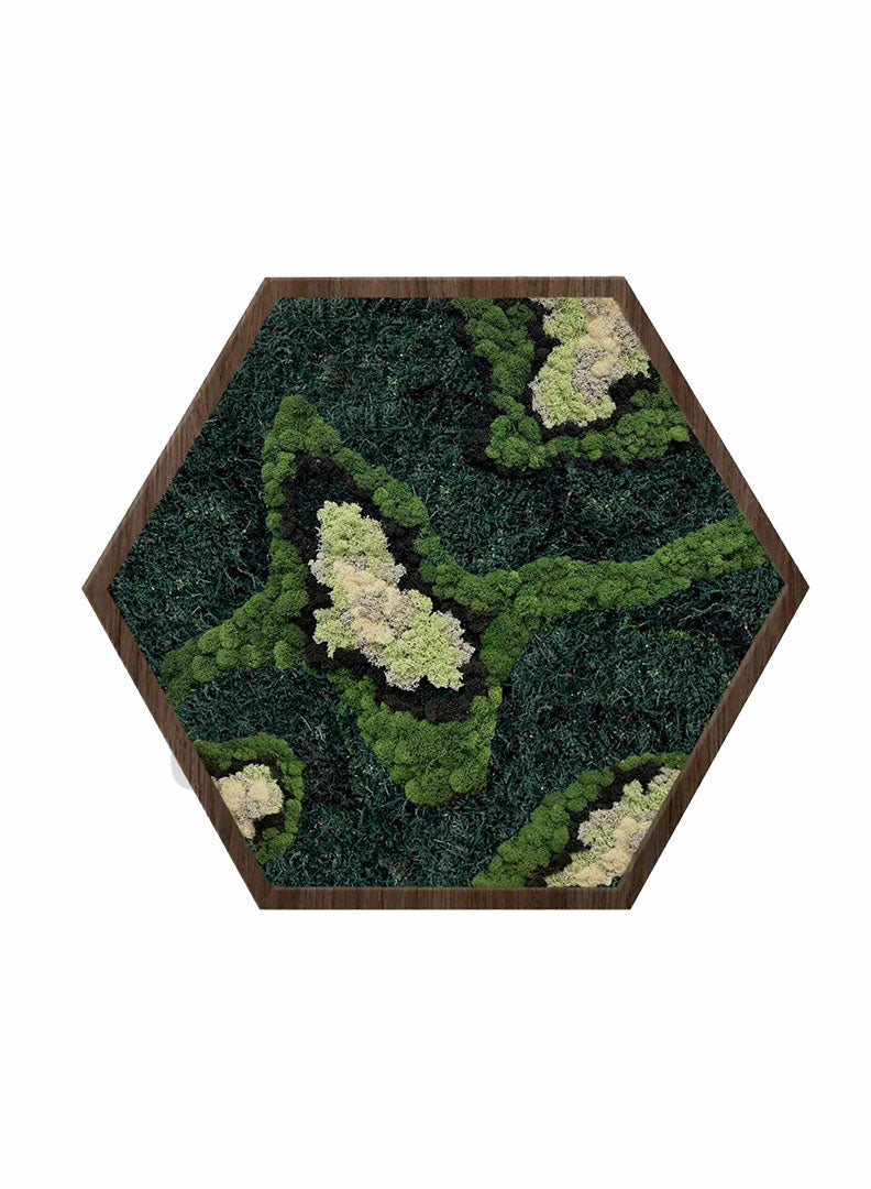 
                  
                    EMERALD MOSS ART | Hexagon
                  
                