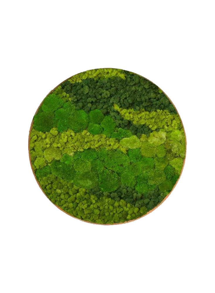 FLUID FLOW | Circle Moss Art