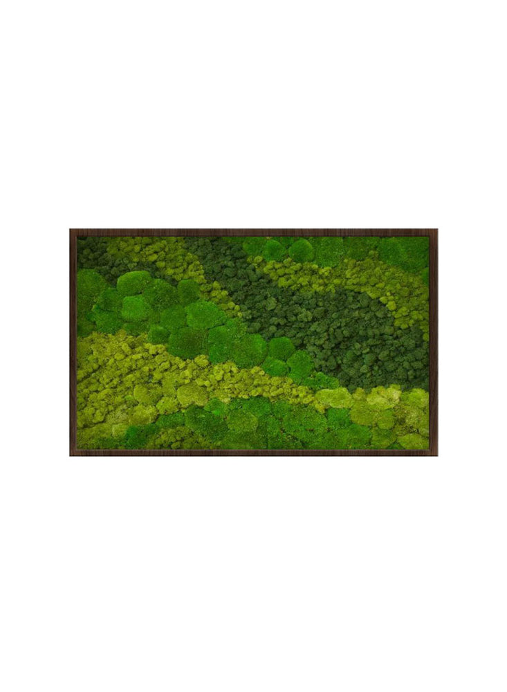 
                  
                    FLUID FLOW | Landscape Moss Art
                  
                
