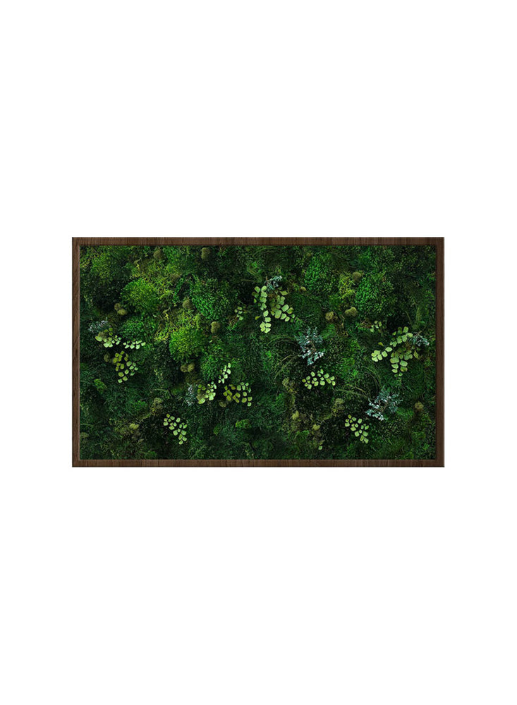 
                  
                    FOREST FLOOR | Landscape moss art
                  
                