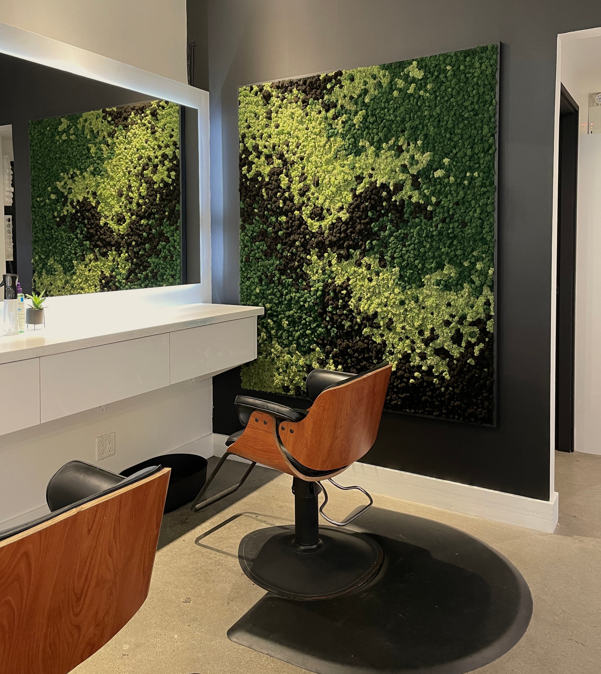 MOODY | Moss Art Square Installation