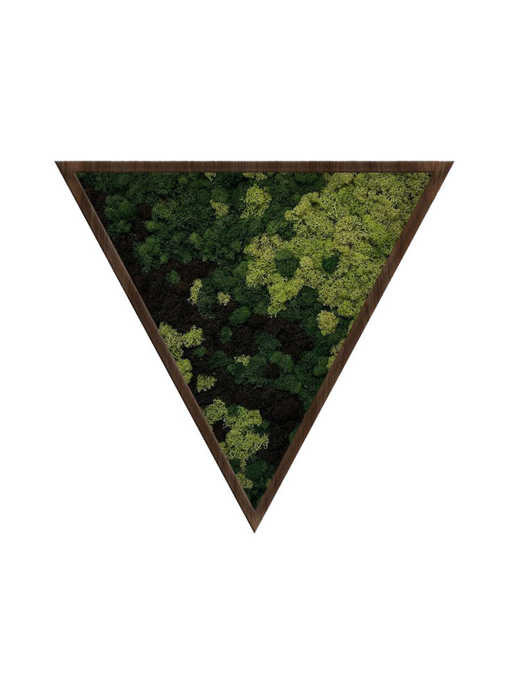 
                  
                    MOODY | Moss Art Triangle
                  
                