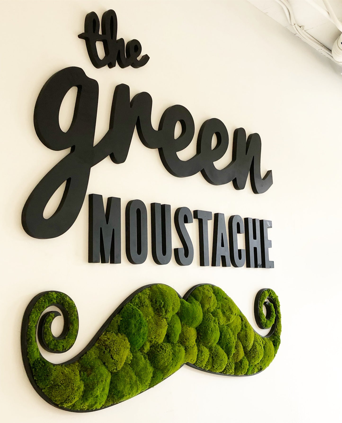 Greenstems Project | Logo moss art