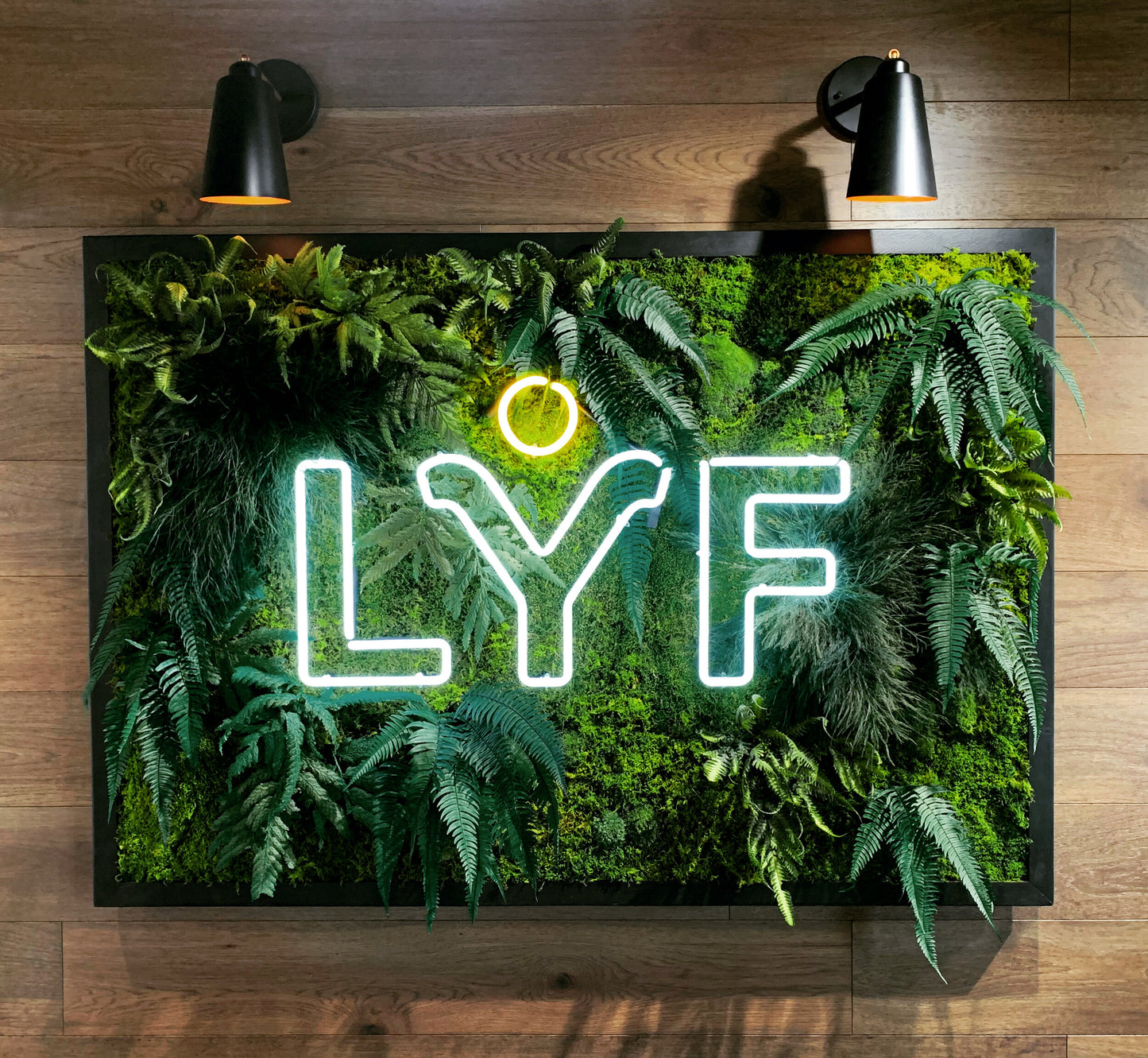 Greenstems Project |  Building moss art installaton