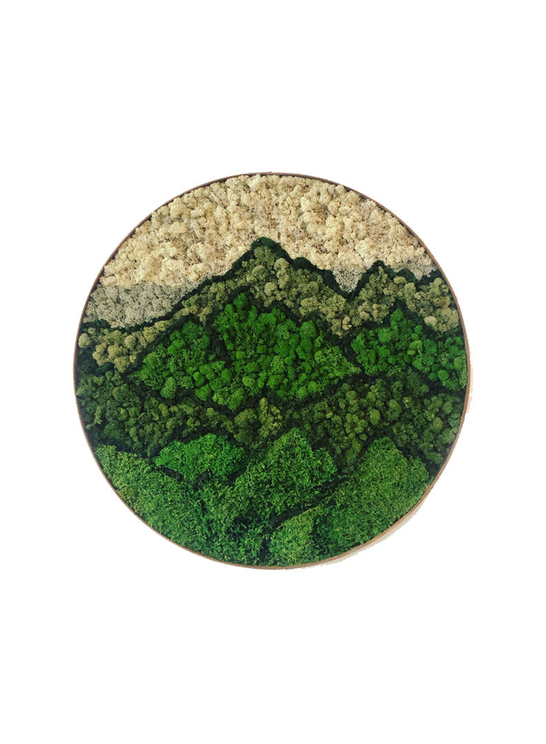 MOSSY MOUNTAIN | Circle Moss Art