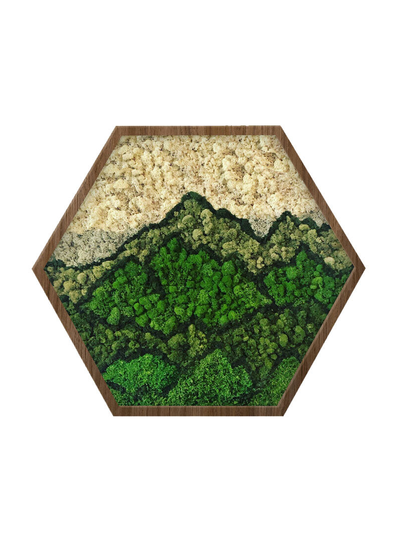 
                  
                    MOSSY MOUNTAIN | Hexagon Moss Art
                  
                
