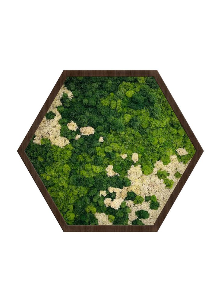 
                  
                    Verde Marble Moss Art | Hexagon
                  
                