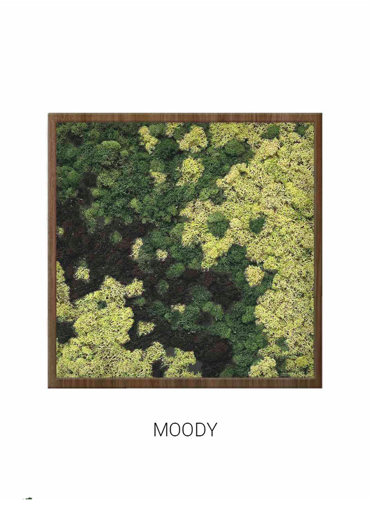 
                  
                    Moody | Square Moss Art
                  
                