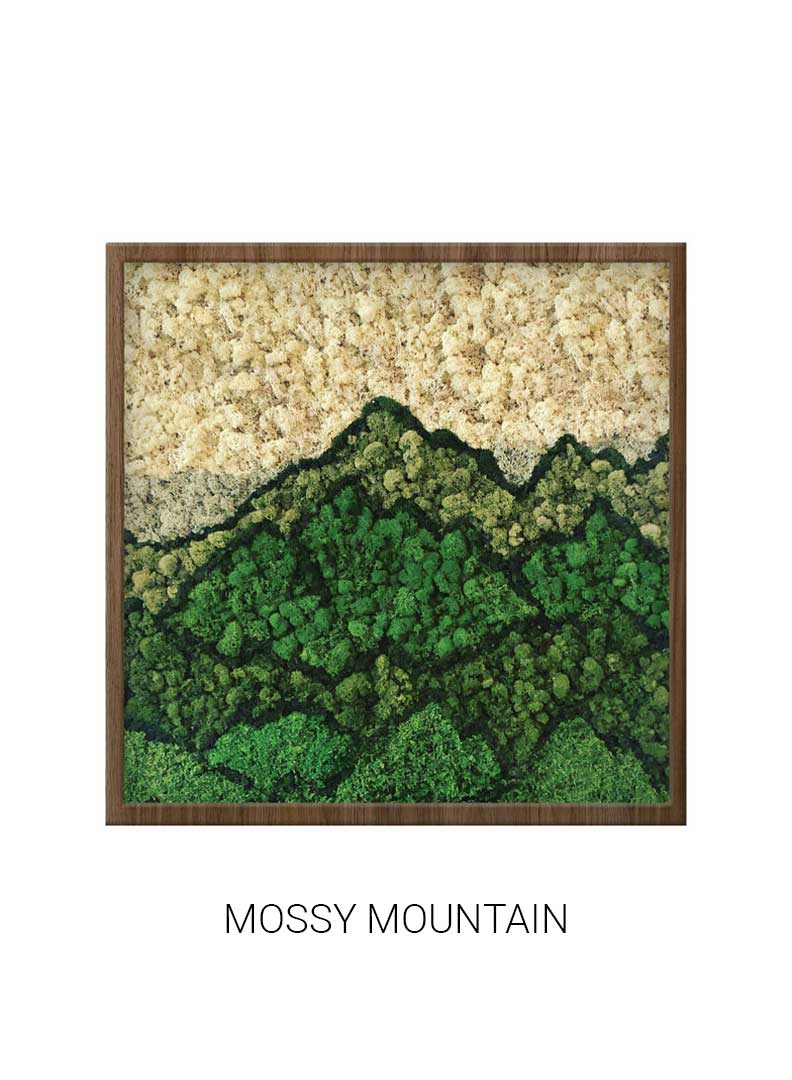 
                  
                    Mossy Mountain | Square Moss Art
                  
                